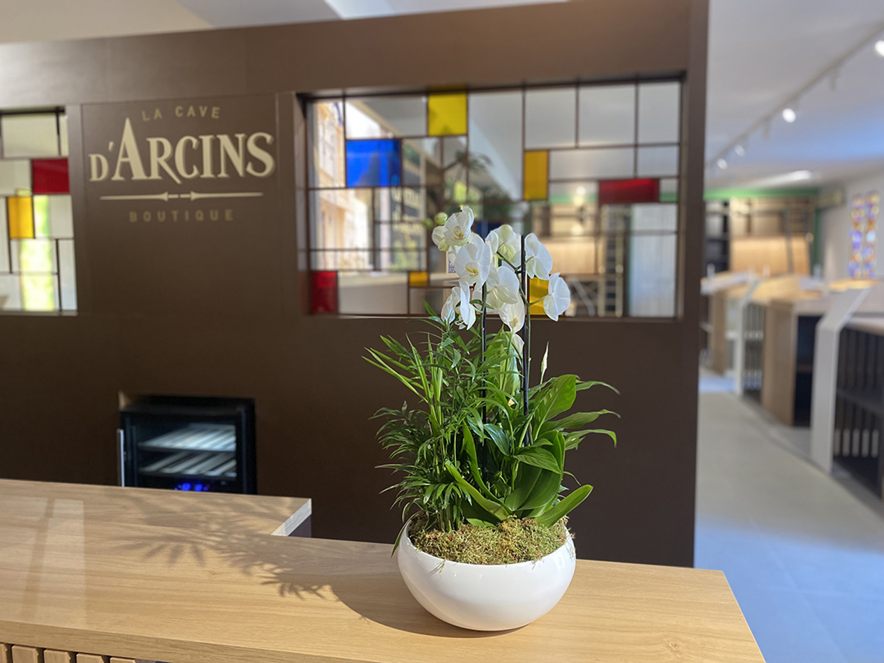 ARCINS 2OK